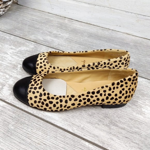 NEW-TROTTERS WM 6 & 7  CHEETAH PRINT LTHR CAP SHOE - Picture 7 of 10